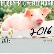 LUCKY PIG CALENDAR 2016 [カレンダー]