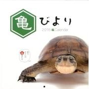 亀びよりCalendar 2016 [カレンダー]