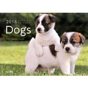 Dogs 2016[カレンダー]（Yama-Kei Calendar） [単行本]