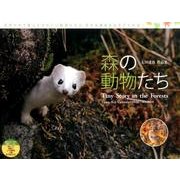森の動物たち 2016[カレンダー]－太田達也作品集（Yama-Kei Calendar） [単行本]