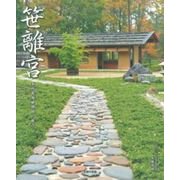 笹離宮―蓼科笹類植物園の魅力 [単行本]