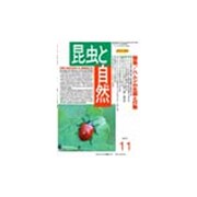 昆虫と自然 2015年 11月号 [雑誌]
