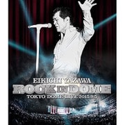 ROCK IN DOME