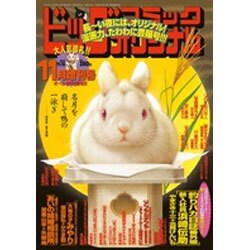 ビッグオリジナル増刊 2015年 11/12号 [雑誌]