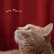 まるごと!アヴェ・マリア