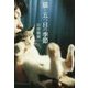 猫と五つ目の季節 [単行本]