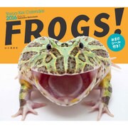 FROGS!カレンダー 2016 [単行本]