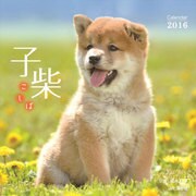 子柴カレンダー 2016 [単行本]