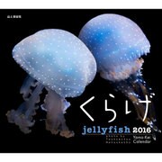 くらげカレンダー 2016 [単行本]
