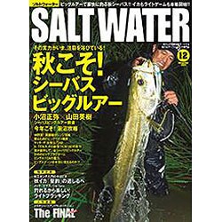 SALT WATER (ソルトウォーター) 2015年 12月号 [雑誌]