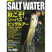 SALT WATER (ソルトウォーター) 2015年 12月号 [雑誌]