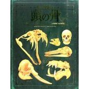頭の骨（骨の博物館 2） [図鑑]