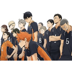 ハイキュー!! セカンドシーズン vol.9 [DVD]