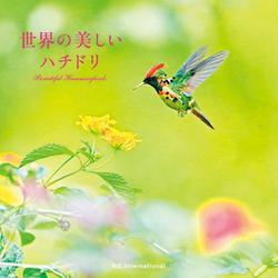 世界の美しいハチドリ [単行本]