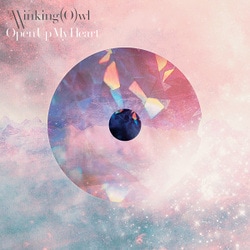 The Winking Owl／Open Up My Heart