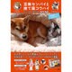 豆柴センパイと捨て猫コウハイカレンダーMOOK 2016（扶桑社ムック） [カレンダー]