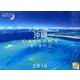 沖縄美ら海物語 2016[カレンダー] [カレンダー]