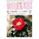趣味の山野草 2015年 12月号 [雑誌]
