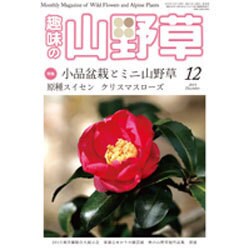 趣味の山野草 2015年 12月号 [雑誌]