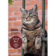 岩合光昭ねこダイアリースケジュール 2016 [ムックその他]