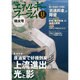 エネルギーフォーラム 2015年 11月号 [雑誌]