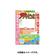 週刊 ザ・テレビジョン 関西版 2015年 11/13号 [雑誌]
