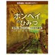 ポンペイのひみつ―地中に埋もれたローマの古代都市(世界遺産 考古学ミステリー) [図鑑]