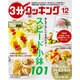 3分クッキング 2015年 12月号 [雑誌]
