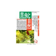 増刊昆虫と自然 2015年 12月号 [雑誌]