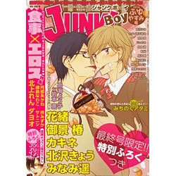 JUNK ! BOY (ジャンクボーイ) 2016年 01月号 [雑誌]