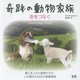 奇跡の動物家族―命をつなぐ [単行本]