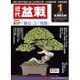 近代盆栽 2016年 01月号 [雑誌]