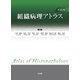 組織病理アトラス 第6版 [単行本]