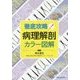 徹底攻略!病理解剖カラー図解 [単行本]