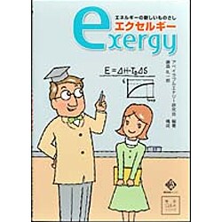 エネルギーの新しいものさしエクセルギー(電気新聞ブックス―徹底Q&Aシリーズ) [単行本]