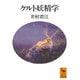 ケルト妖精学(講談社学術文庫) [文庫]