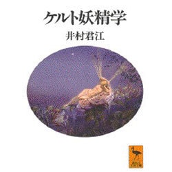 ケルト妖精学(講談社学術文庫) [文庫]