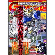 GUNDAM A (ガンダムエース) 2016年 01月号 [雑誌]
