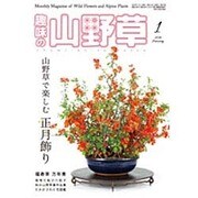 趣味の山野草 2016年 01月号 [雑誌]