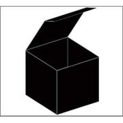 Black Box