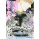 雪豹と運命の恋人(B-PRINCE文庫) [文庫]