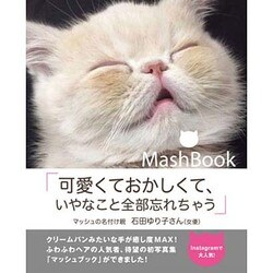 MashBook [単行本]