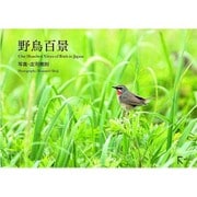 野鳥百景―One Hundred Views of Birds in Japan [単行本]
