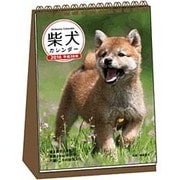 柴犬カレンダー卓上書き込み式(B6タテ) 2016 [カレンダー]