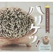 ハリネズミまるたろうのハリケツ! [単行本]