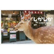 しかしか [単行本]