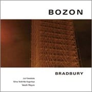 BOZON