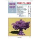 数理科学 2016年 01月号 [雑誌]