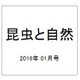 昆虫と自然 2016年 01月号 [雑誌]