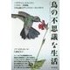 鳥の不思議な生活―ハチドリのジェットエンジン、ニワトリの三角関係、全米記憶力チャンピオンvsホシガラス [単行本]